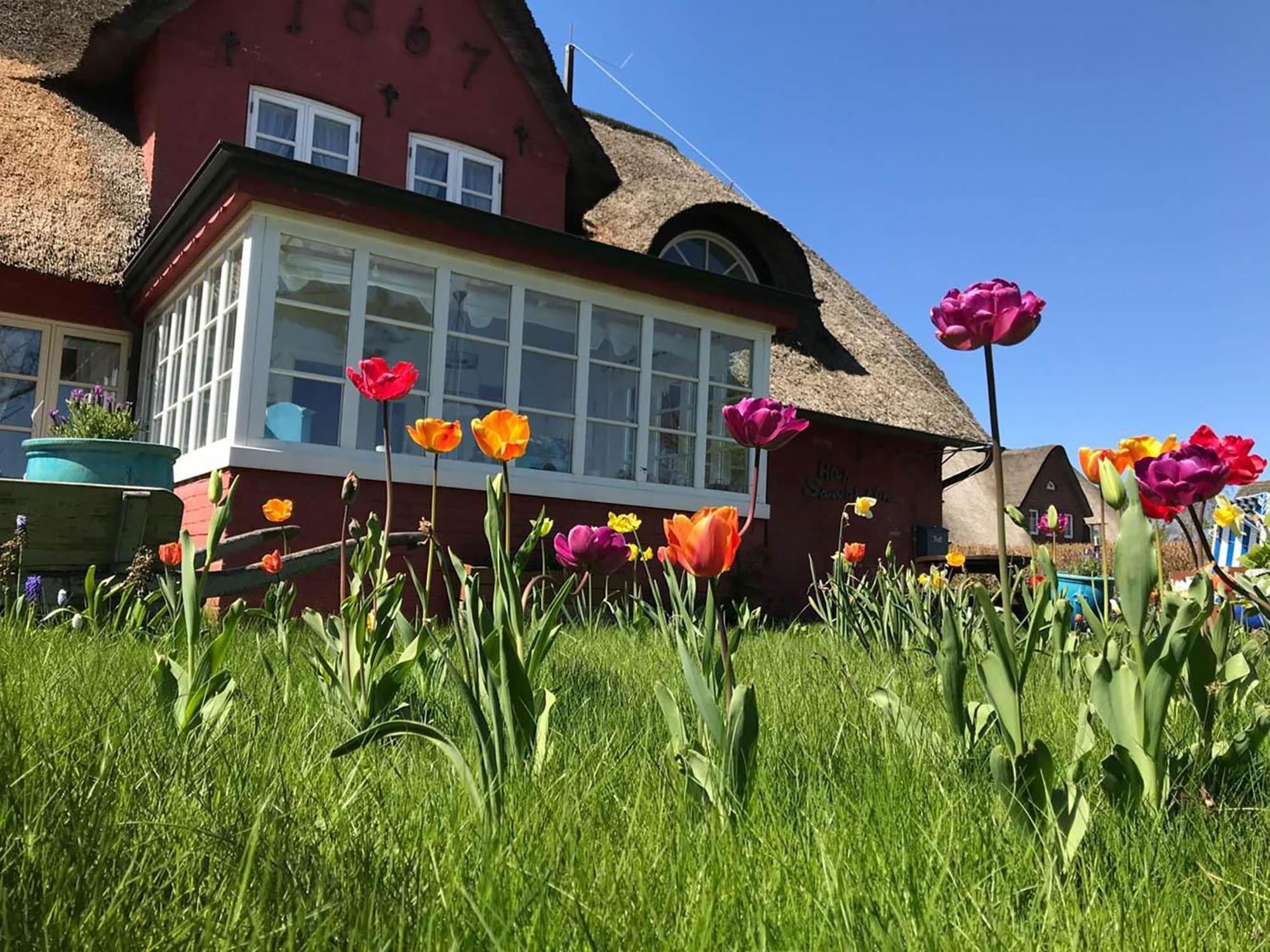Hues Sanskiin Ferienwohnung *Hopelfask* Suddorf Exterior photo